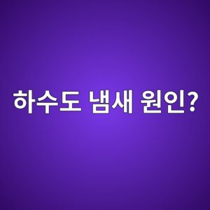 상가 화장실, 싱크대 하수구 냄새 원인 찾기: 트랩부터 환기까지 6 ed9598ec8898eb8f84 eb8384ec8388 ec9b90ec9db8 1788273916
